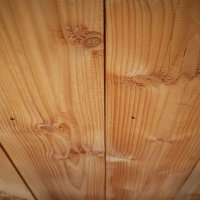 oene-douglas-hout